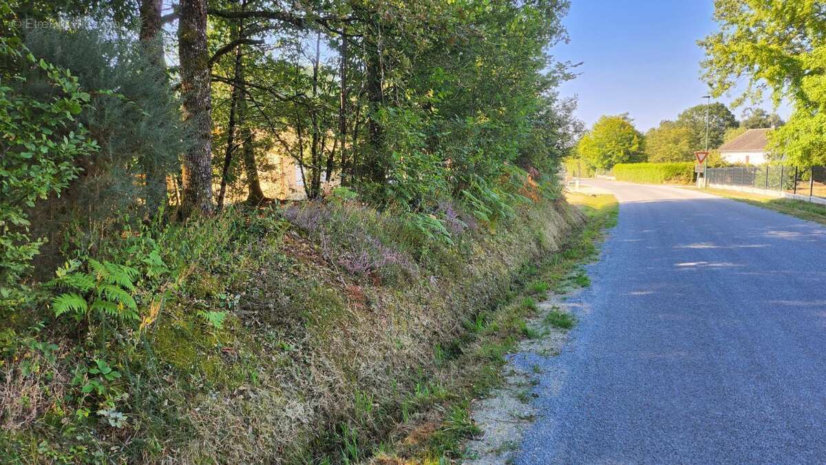 Terrain 1245m² - environnement campagne - calme - photo 5