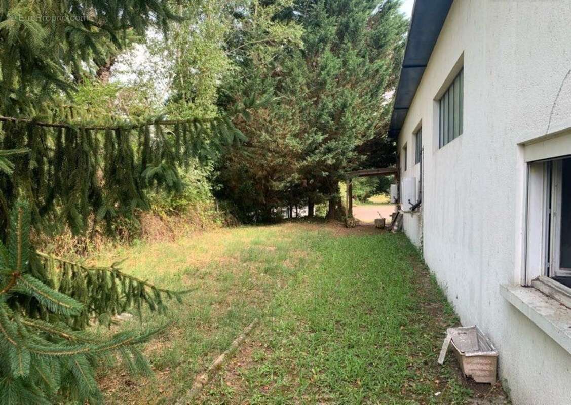 A vendre : Local/Entrepôt de 220 m2 plus une maison de 90m2 TERRASSON LA VILLEDIEU (24) - photo 2