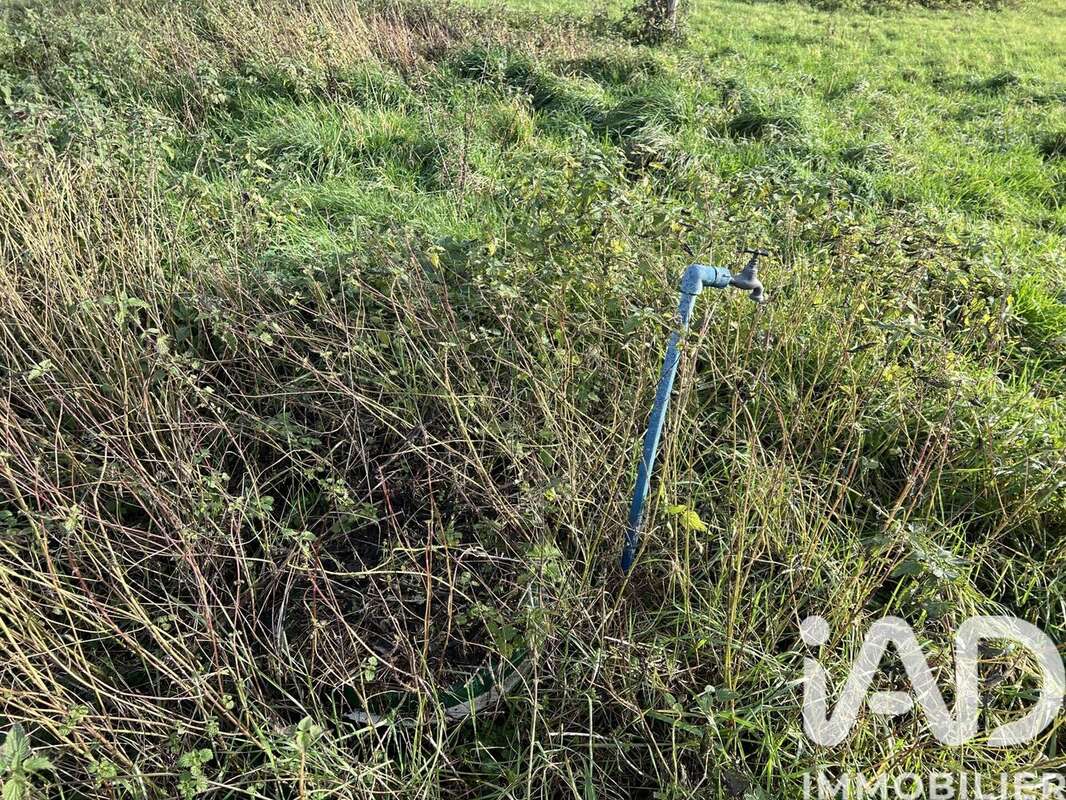 Photo 8 - Terrain à CHASSENARD