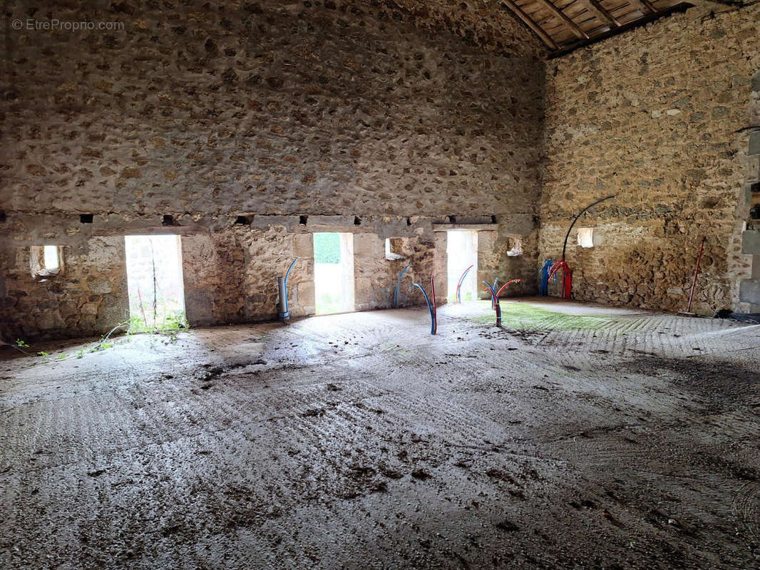 20240304_145532 - Maison à PIEGUT-PLUVIERS