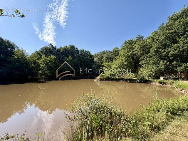 Plan d'eau avec un espace arboré et un chalet - photo 5
