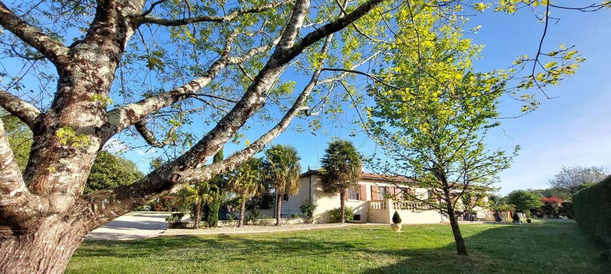 Pavillon 5 chambres - photo 2