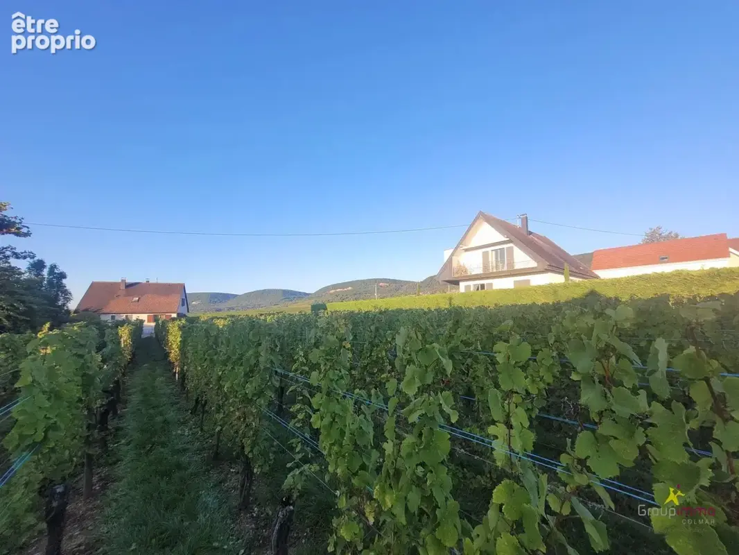 Beau terrain au coeur du vignoble - photo 2