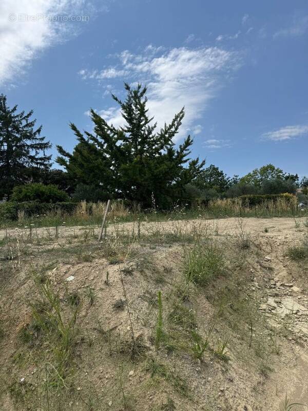 Terrain à PIERREVERT