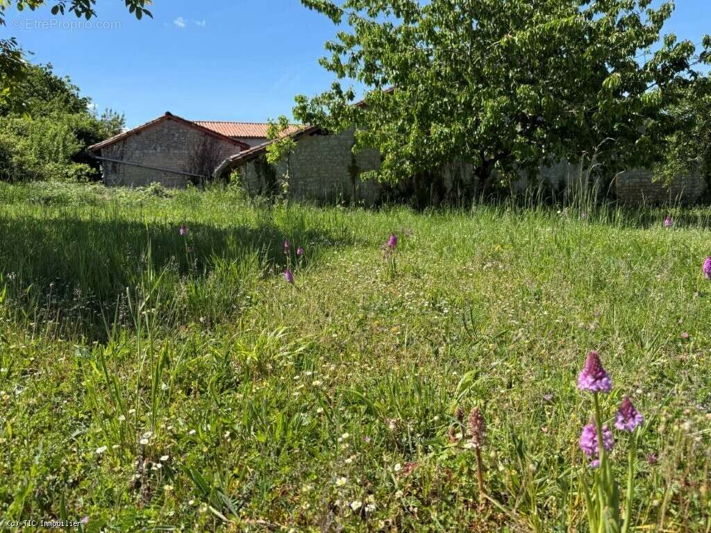 Maison à RUFFEC