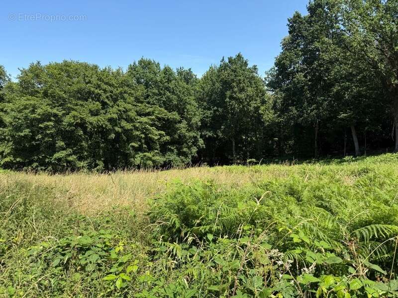 Terrain à vendre de 3 250,00 m² SAINT MARTIN DU VIVIER (76) - photo 5