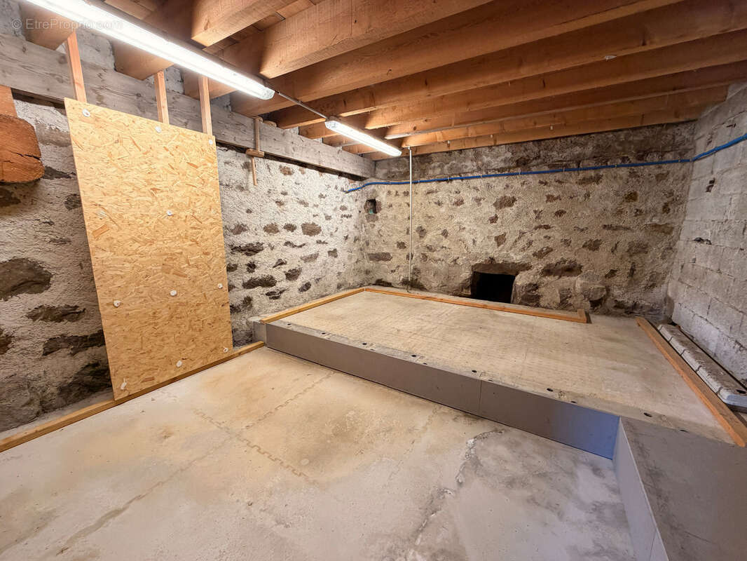 SAINT-PIERRE-SUR-DOUX   Ensemble immobilier avec maison rénovée, corps de ferme et 1,76 hectare de terrain - photo 16