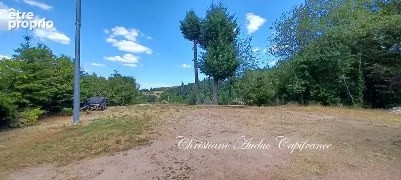 Entre Cluny et Charolles, vaste propriété de 250 m², sur terrain de 2 800   m² - photo 16