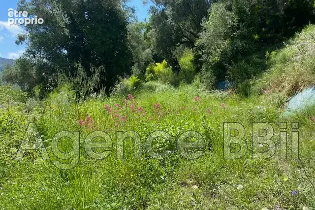Terrain à Nice  - photo 3