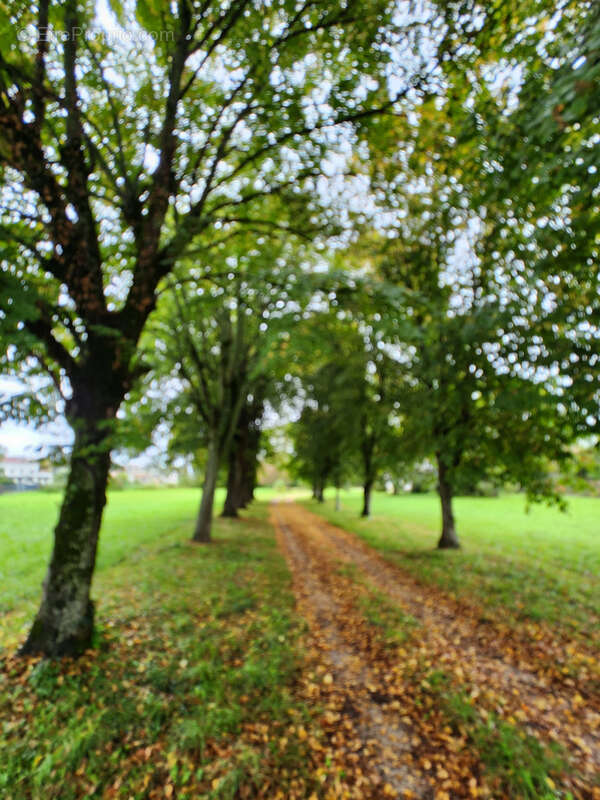Maison à SAINT-ANDRE-LE-GAZ