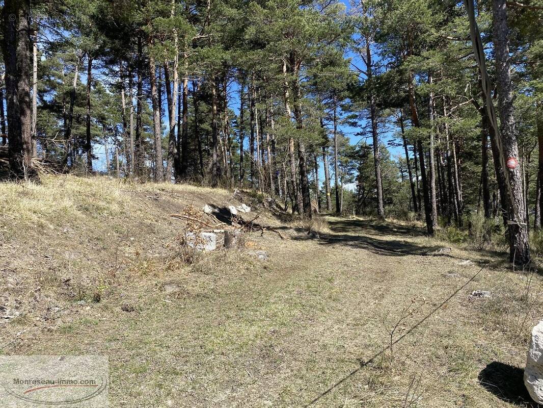 Terrain à LE MAS
