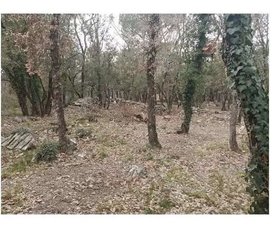 Maison à CAMPS-LA-SOURCE