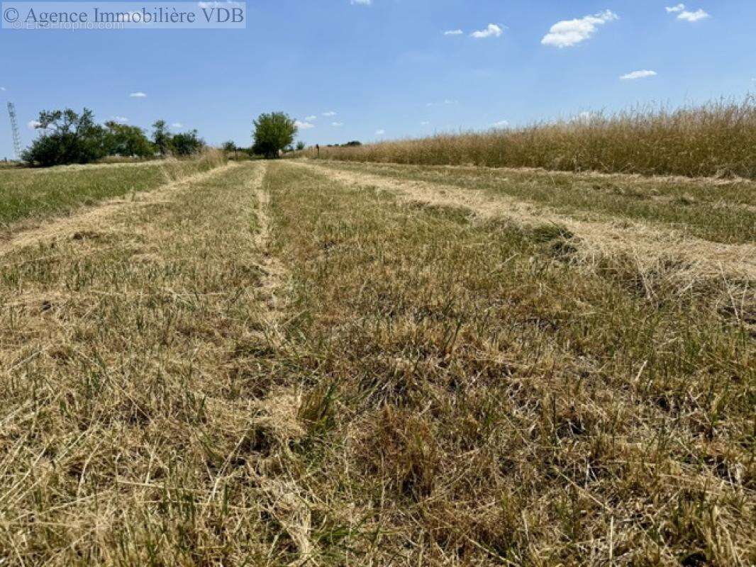 Terrain de 1024 m²  m² - photo 5