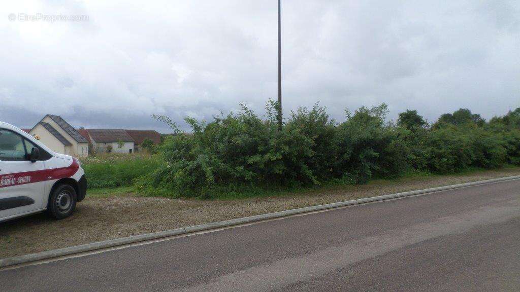 Terrain à CHAMPIGNOL-LEZ-MONDEVILLE