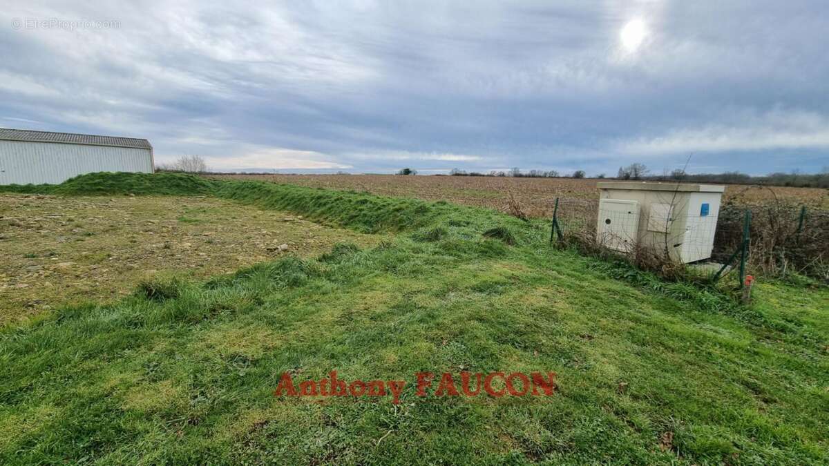 Terrain en zone artisanal Chateau Guibert 2176 m2 - photo 5