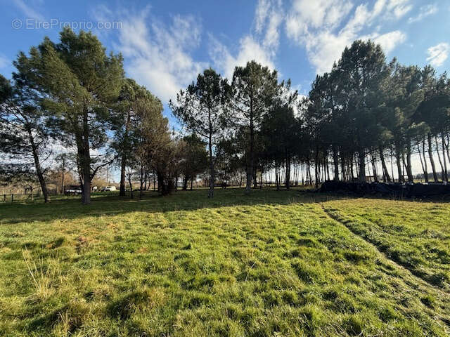 Maison à SAINT-AIGULIN
