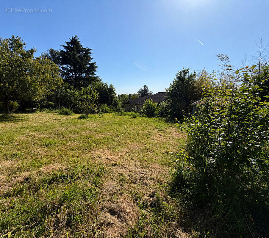 Terrain à LINAS