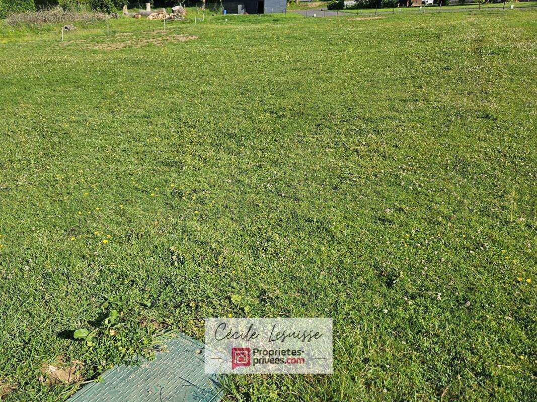 Terrain à SAINT-ANTOINE-LA-FORET