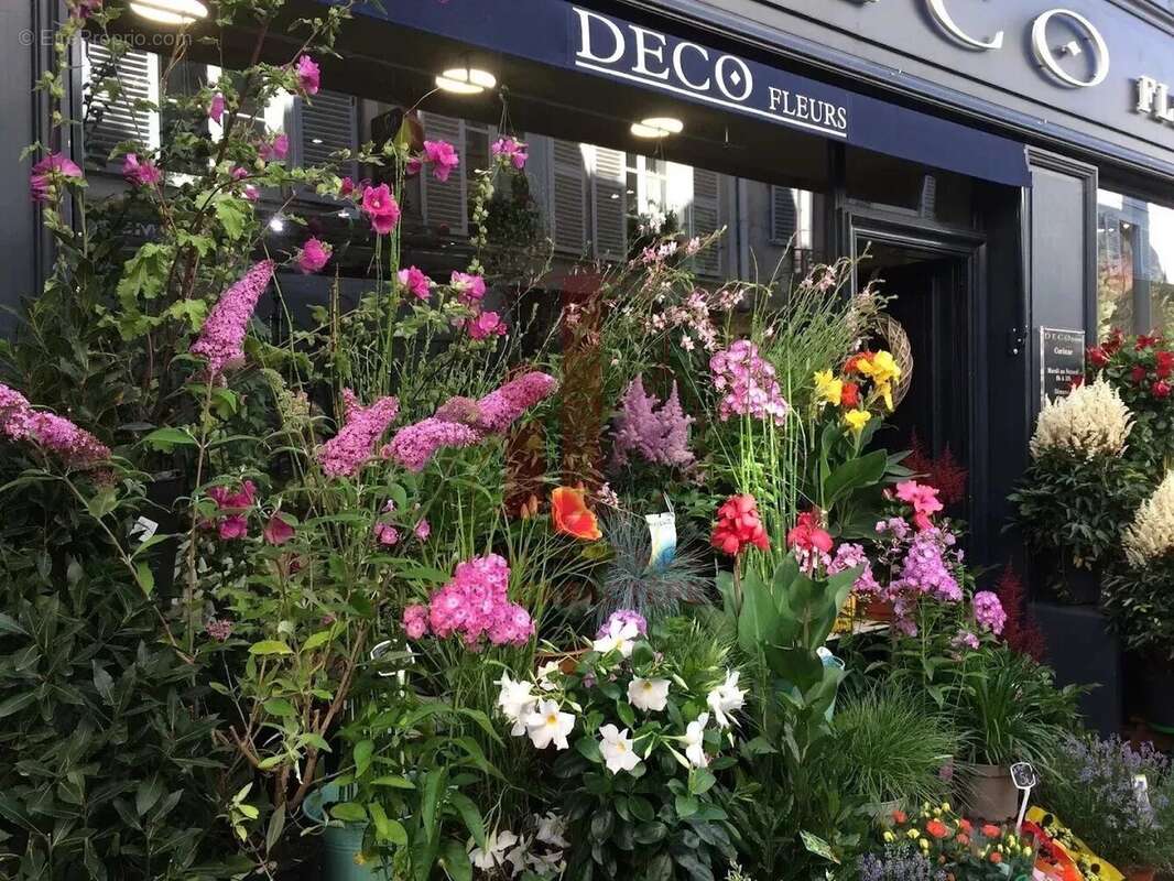 Commerce à FONTAINEBLEAU