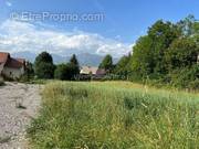 Terrain à FOREST-SAINT-JULIEN