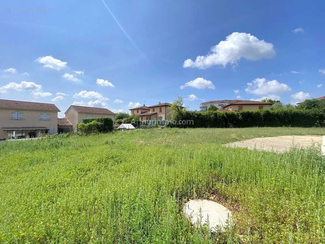 Terrain à MEXIMIEUX