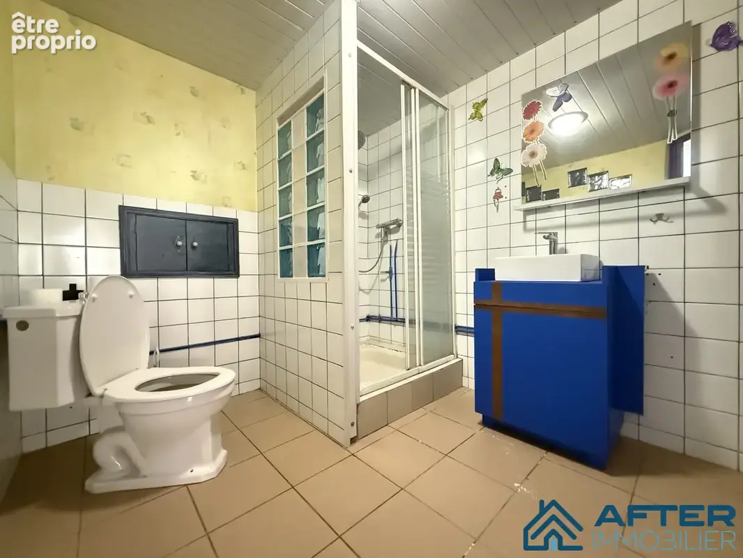 Maison 250 m² à Rosieres-Aux-Salines  - photo 4