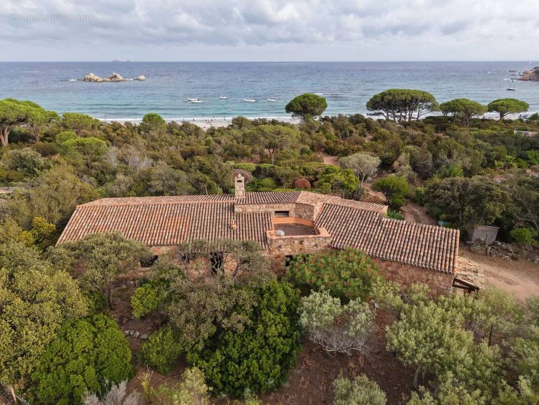 Maison à PORTO-VECCHIO