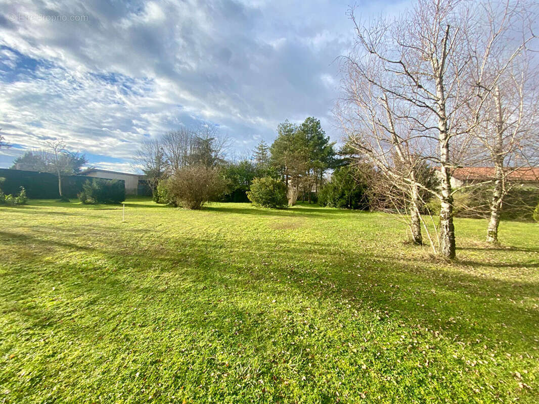 Terrain à BALAN