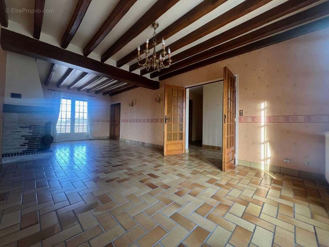 Maison à OUZOUER-SUR-TREZEE