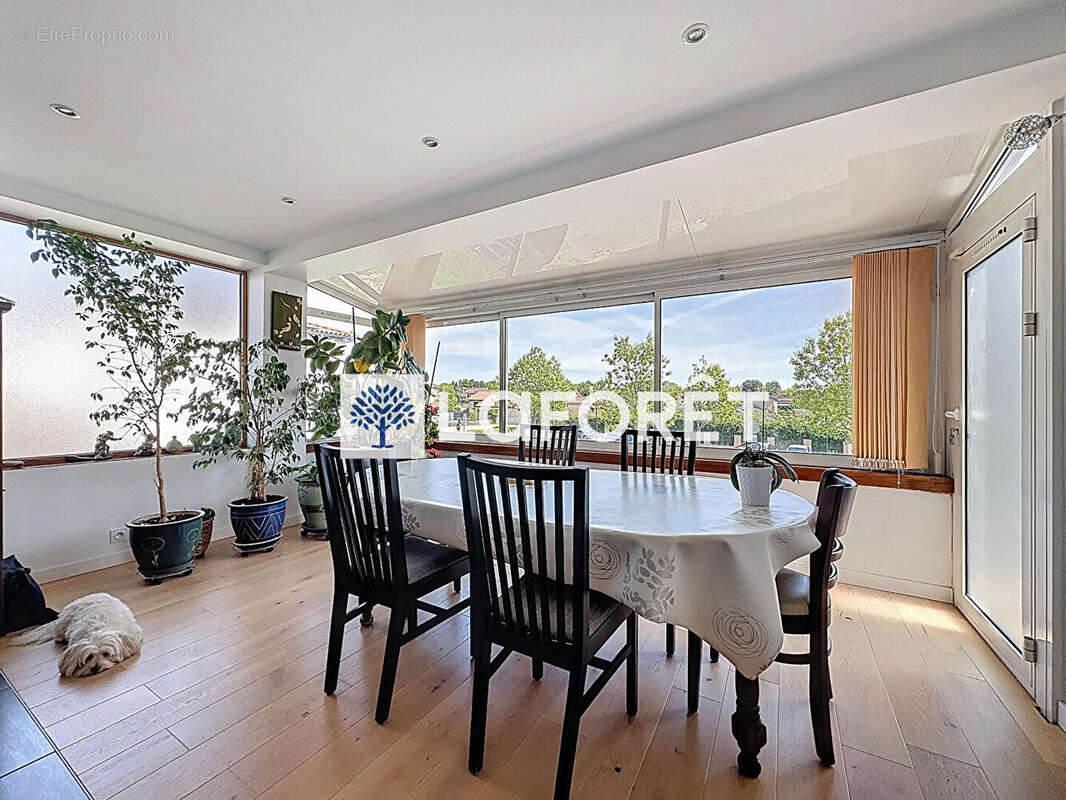 Maison coeur village de Tramoyes de 232,49m² et son terrain avec piscine de 942m² - photo 5