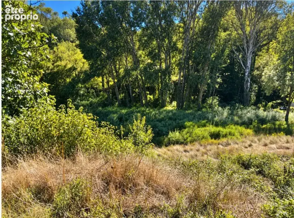 Terrain 600 m² à vendre à Carces (83570) - photo 3
