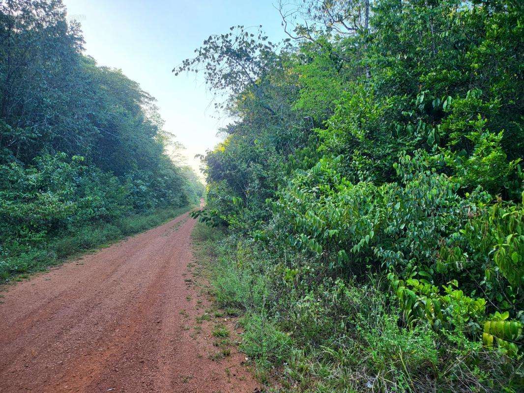 Terrain à MONTSINERY-TONNEGRANDE
