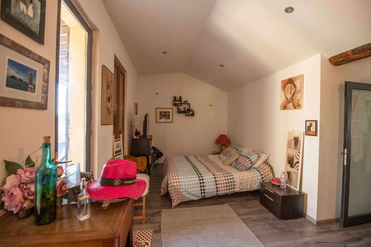 Commerce à SAINT-SATURNIN-DE-LUCIAN