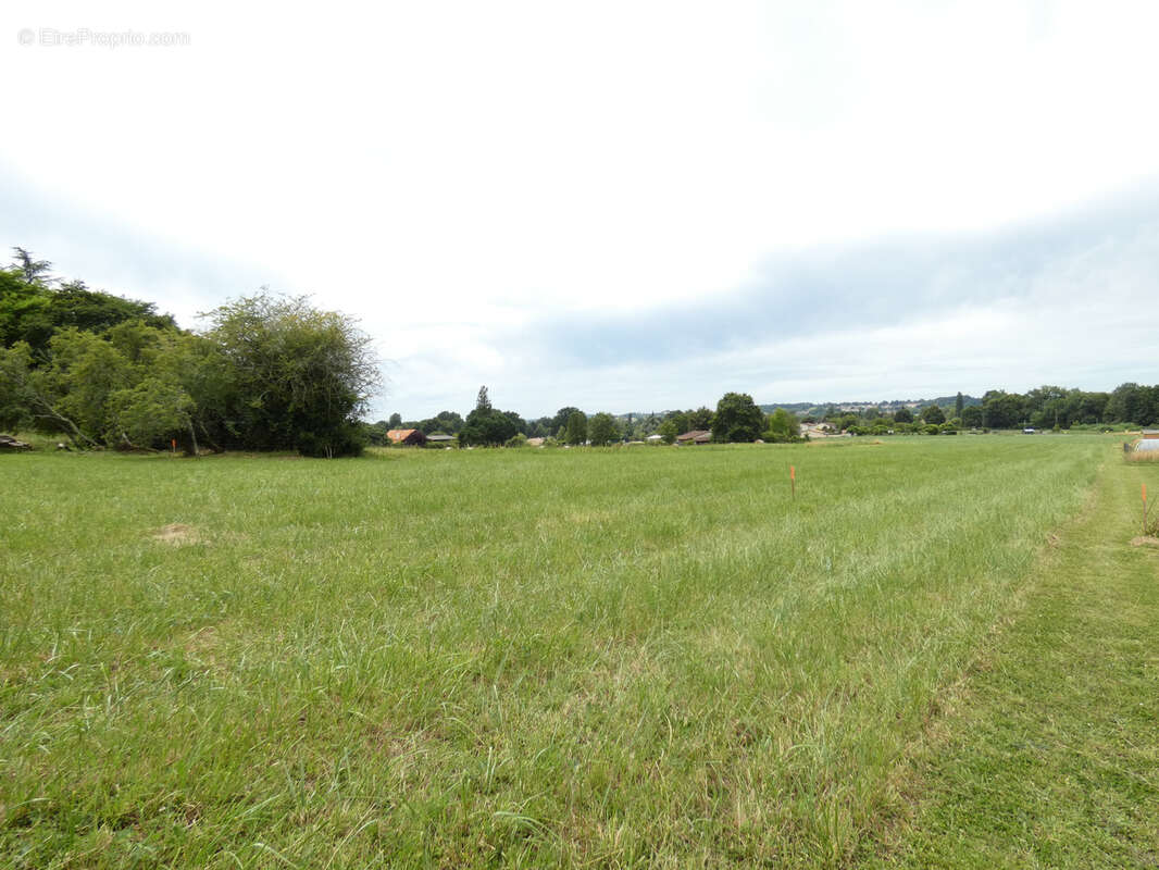 Terrain à SAINT-ANTOINE-CUMOND