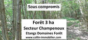 Terrain à CHAMPENOUX
