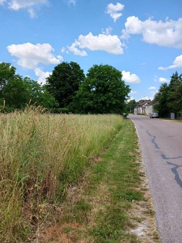 Terrain à ARCIS-SUR-AUBE