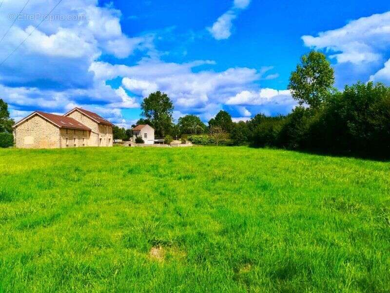 Photo 5 - Maison à PALINGES