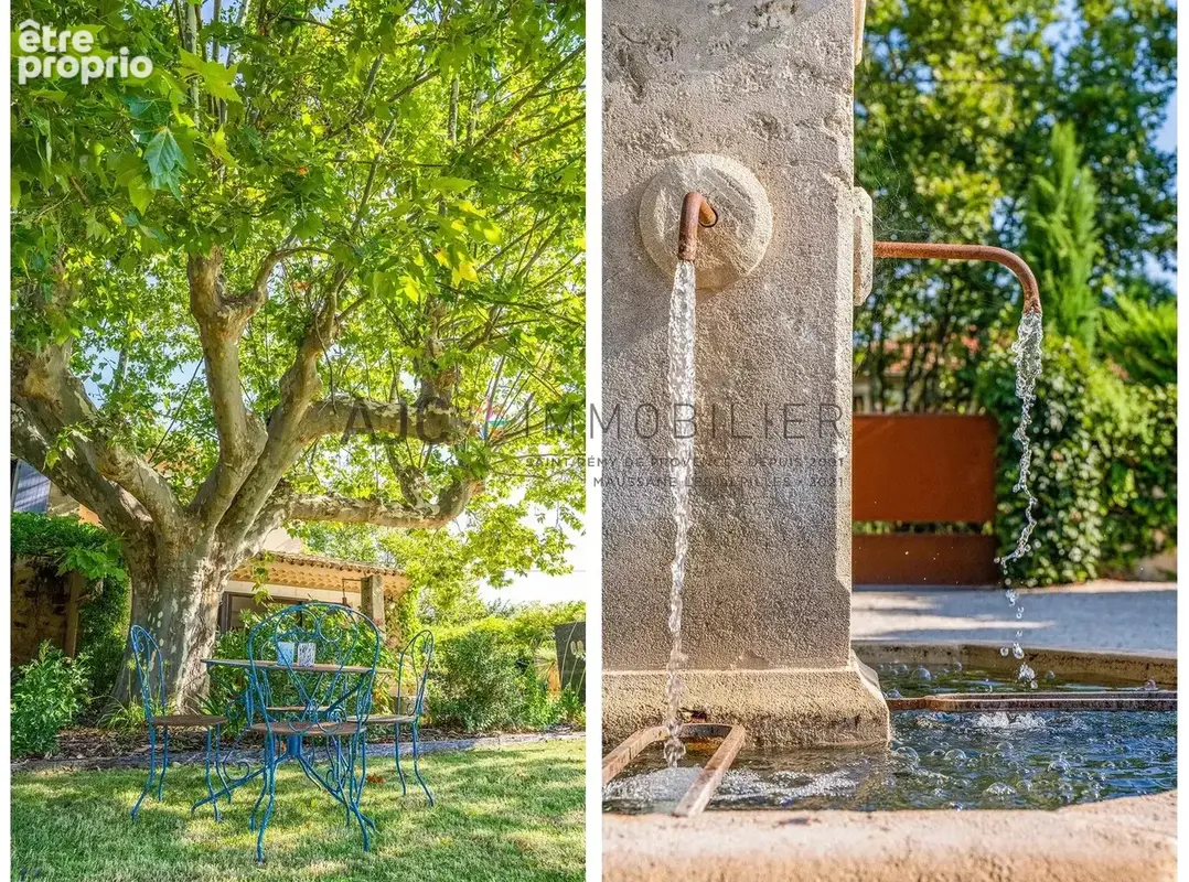 Mas avec piscine, oliveraie et espace indépendant – Saint-Rémy-de-Provence - photo 6