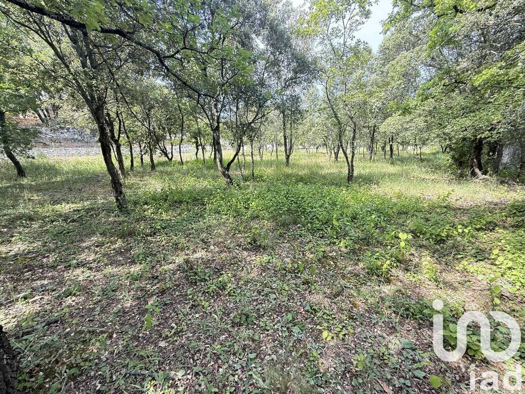 Photo 1 - Terrain à SAINT-RESTITUT