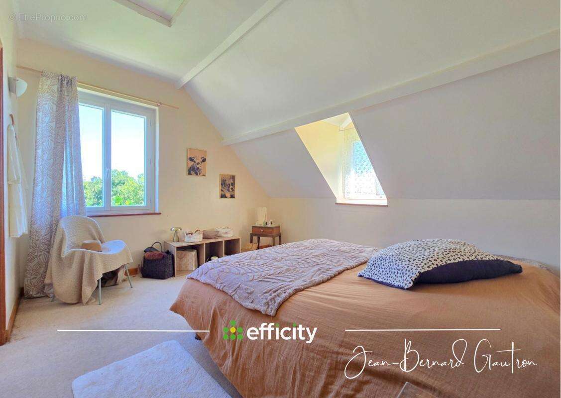 Propriété - photo 15