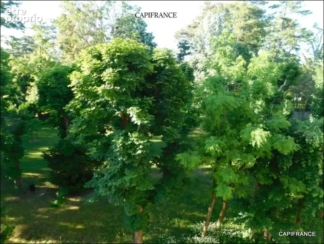 A ecully (69) exclusivite appartement 81 m² traversant 3 chambres, balcon, cave, 5ème étage ascenseur - photo 11