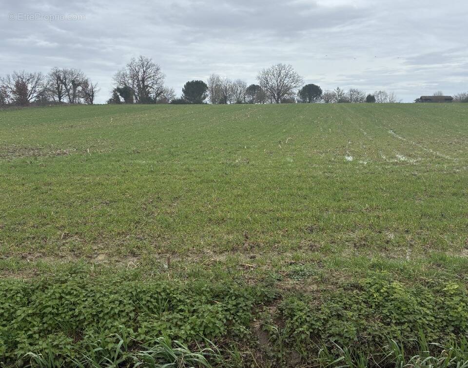 Terrain à MONTPOUILLAN