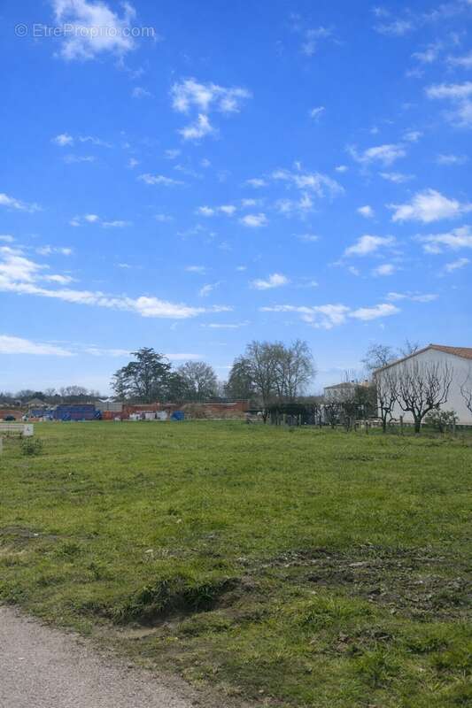 Terrain 356 m² à Saint-Georges-De-Didonne  - photo 2