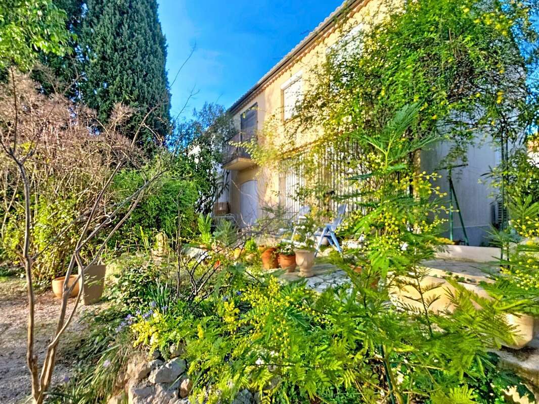 Maison à MONTPELLIER