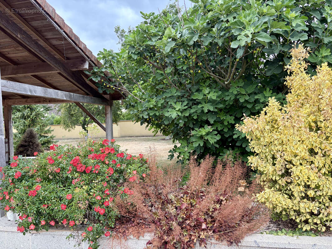 NEUVILLE FERRIERES - Belle maison familiale avec vie de plain-pied, grand jardin et équipements modernes - photo 2