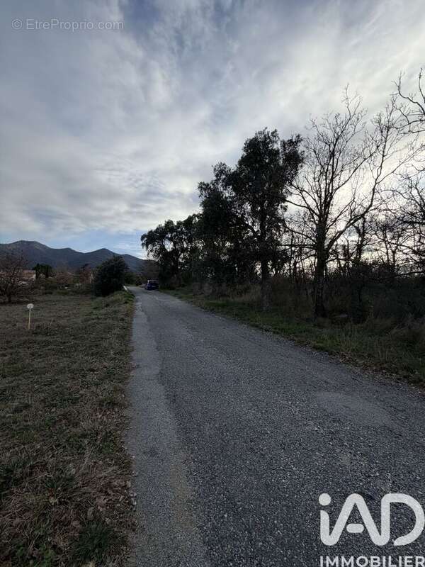 Photo 6 - Terrain à MONTESQUIEU-DES-ALBERES