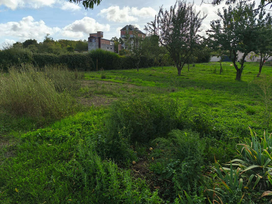 Terrain à TELOCHE