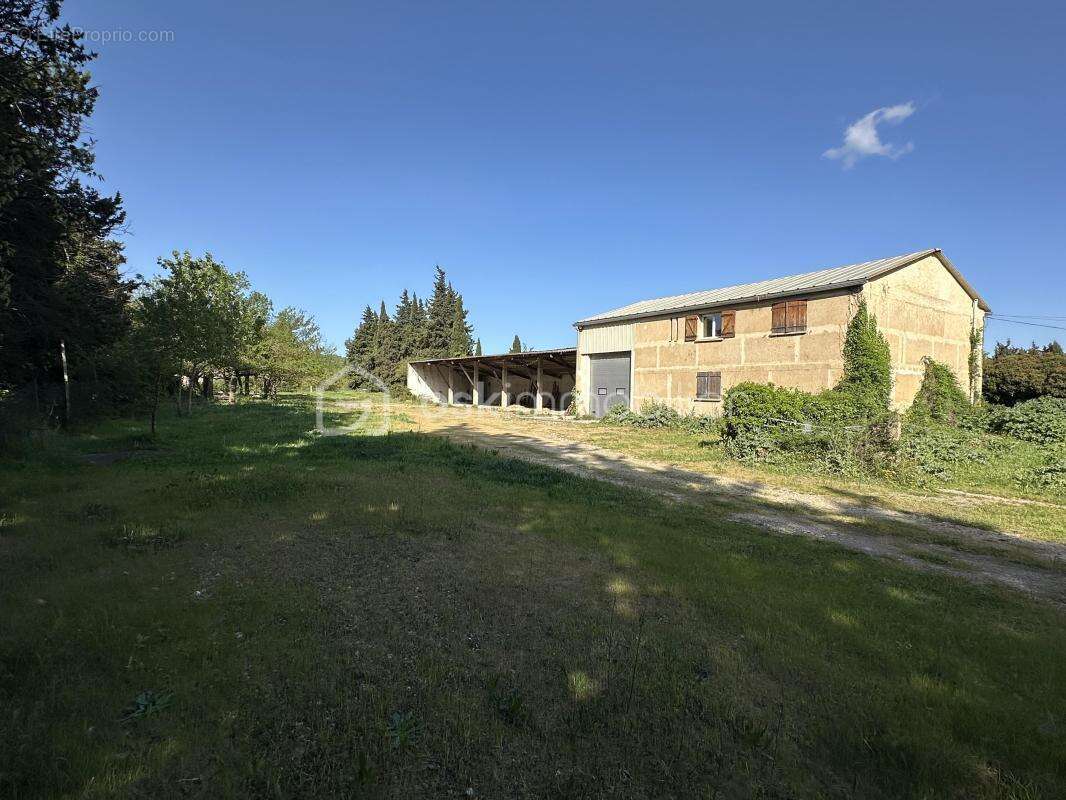 Appartement à MONTFRIN