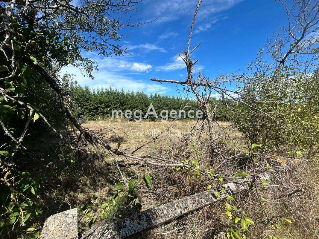 Terrain à SAINT-GALMIER