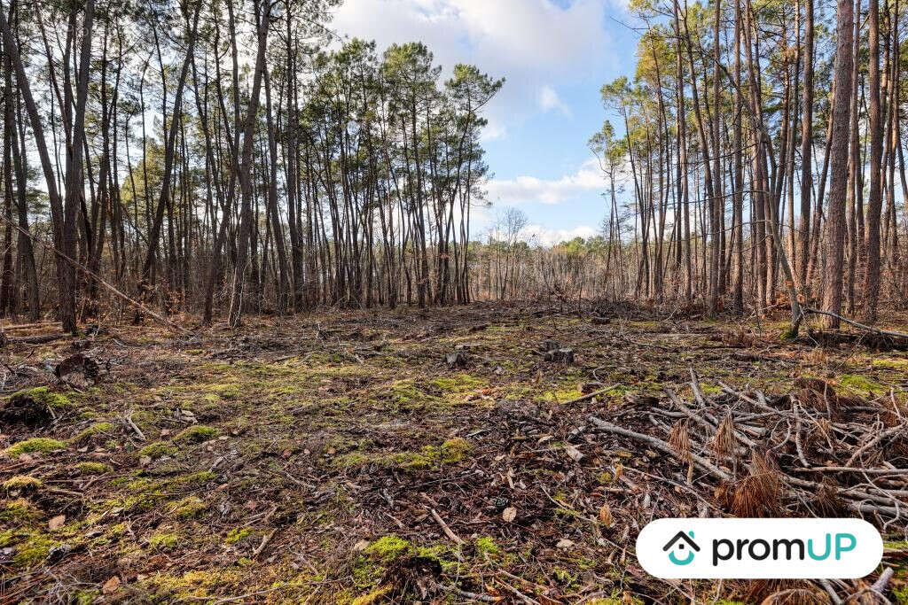 Terrain à VILLEFRANCHE-SUR-CHER
